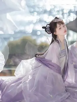 Didelis Hanfu Moterų Cosplay Kostiumų Ru Sijonas Jin Dinastijos Violetinė Siuvinėjimo Hanfu Didelis Rankovėmis Marškinėliai Kinų Stiliaus Kasdien Rinkinys